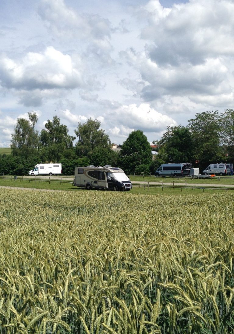 Alter Wohnwagen, umgeben von hohem Gras und Bäumen, unter bewölktem Himmel.